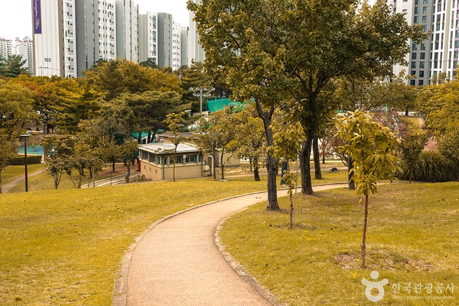 신암공원 여행 추천 - 로드트립