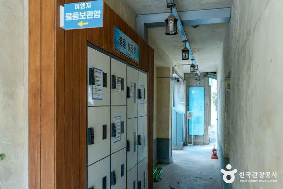 영월 트래블라운지 여행 추천 - 로드트립