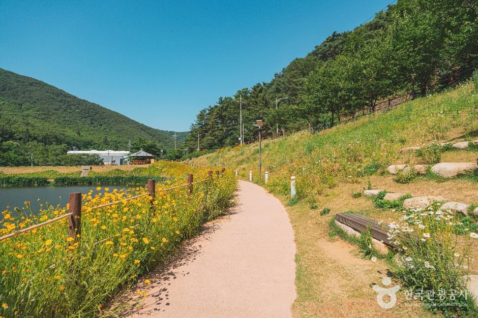 진밭골산림공원 여행 추천 - 로드트립