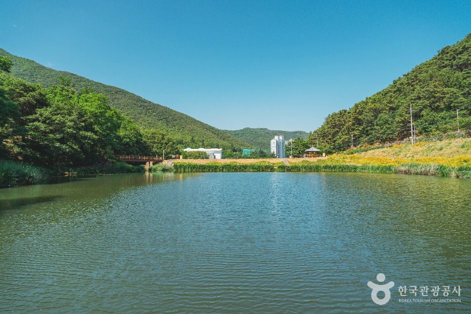진밭골산림공원 여행 추천 - 로드트립