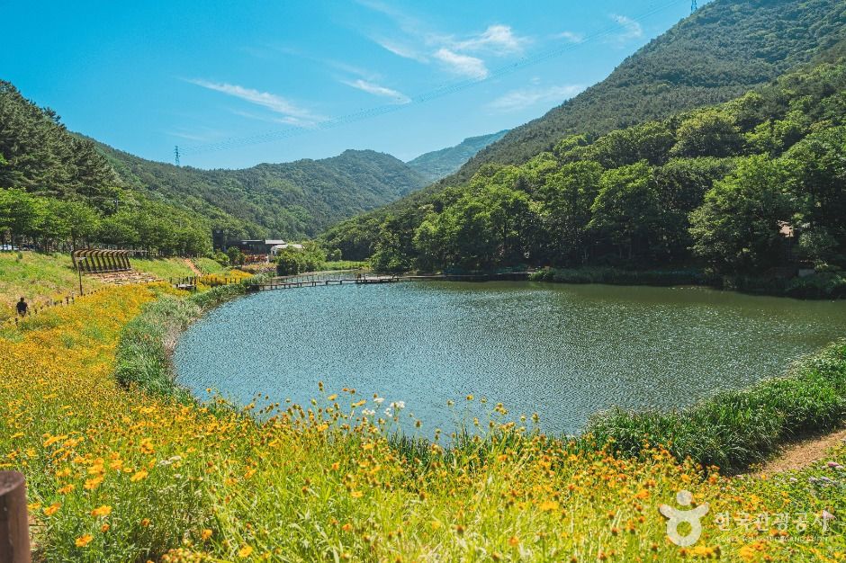 진밭골산림공원 여행 추천 - 로드트립