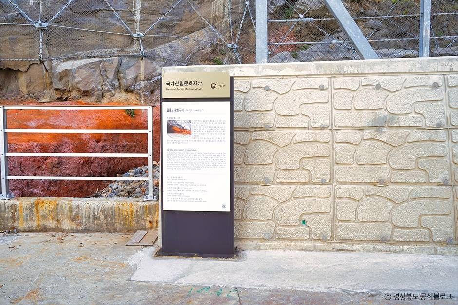 황토굴 (울릉군, 독도 국가지질공원) 여행 추천 - 로드트립