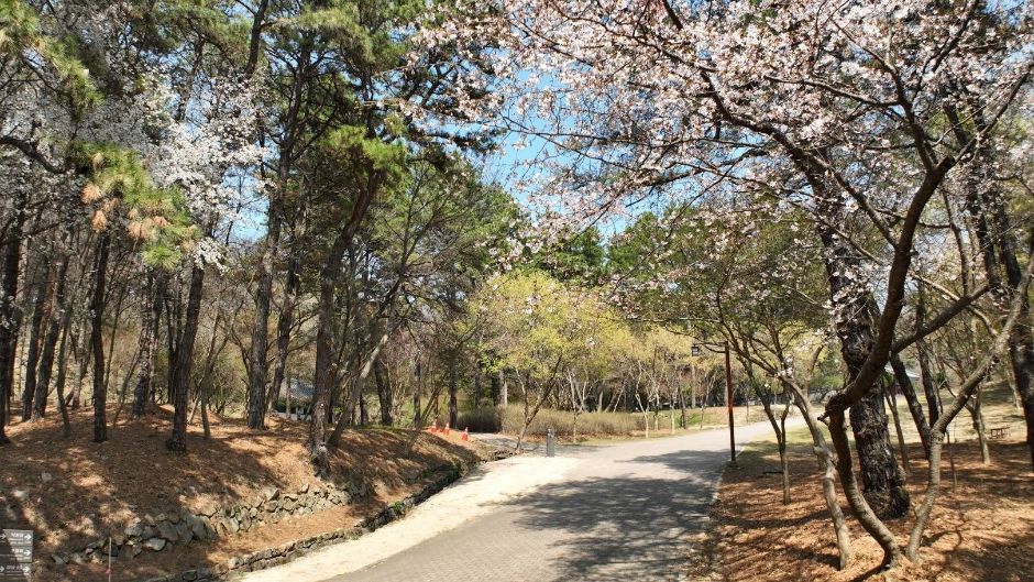 부소산 여행 추천 - 로드트립