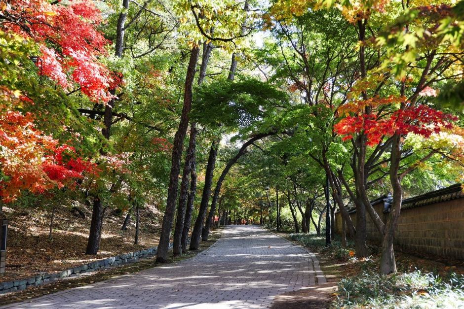 부소산 여행 추천 - 로드트립