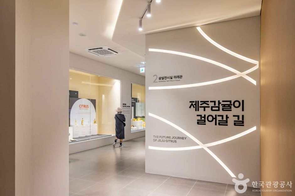감귤박물관 여행 추천 - 로드트립