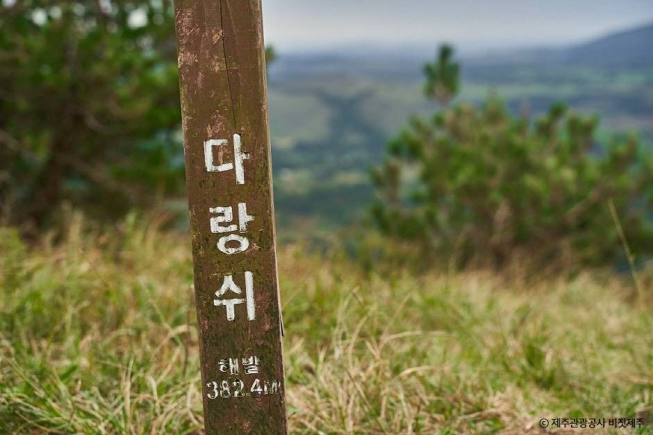 다랑쉬오름(월랑봉) 여행 추천 - 로드트립