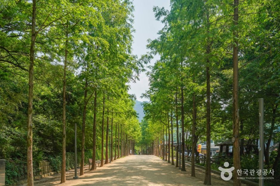 앞산자락길 여행 추천 - 로드트립