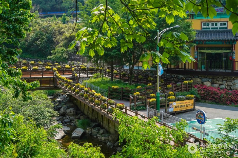 앞산자락길 여행 추천 - 로드트립