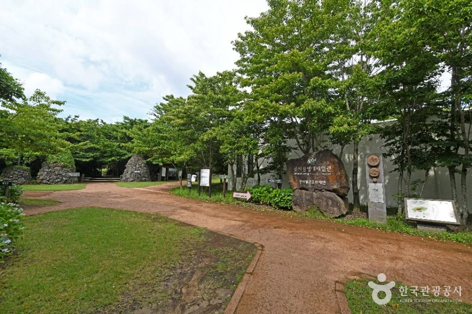 제주 교래자연휴양림 여행 추천 - 로드트립