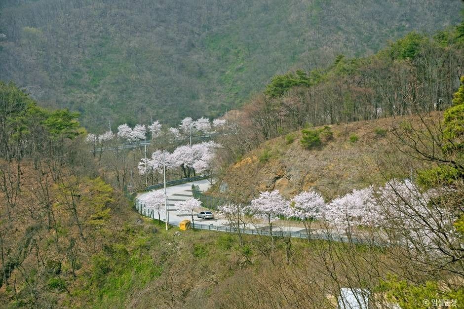 국사봉전망대 여행 추천 - 로드트립