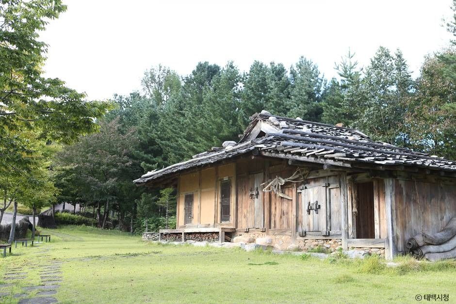 황부자 며느리 친정가는 둘레길 여행 추천 - 로드트립