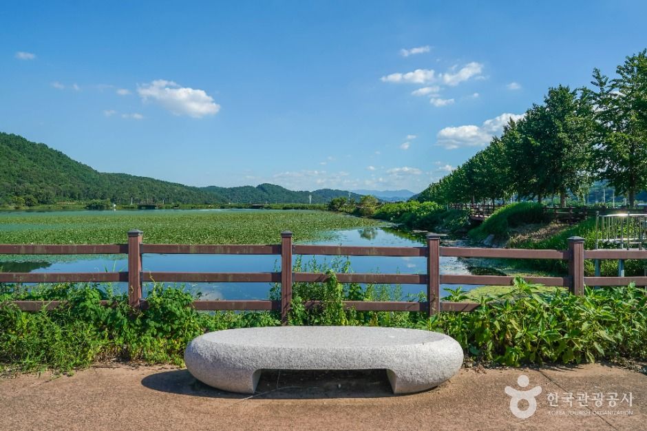 유등지 여행 추천 - 로드트립