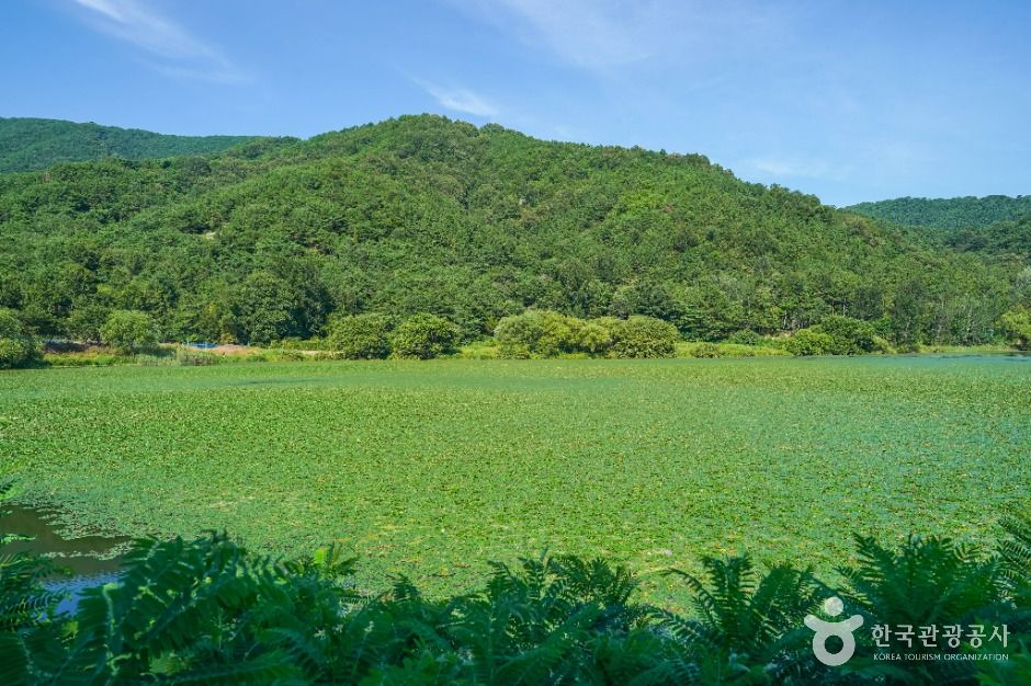 유등지 여행 추천 - 로드트립