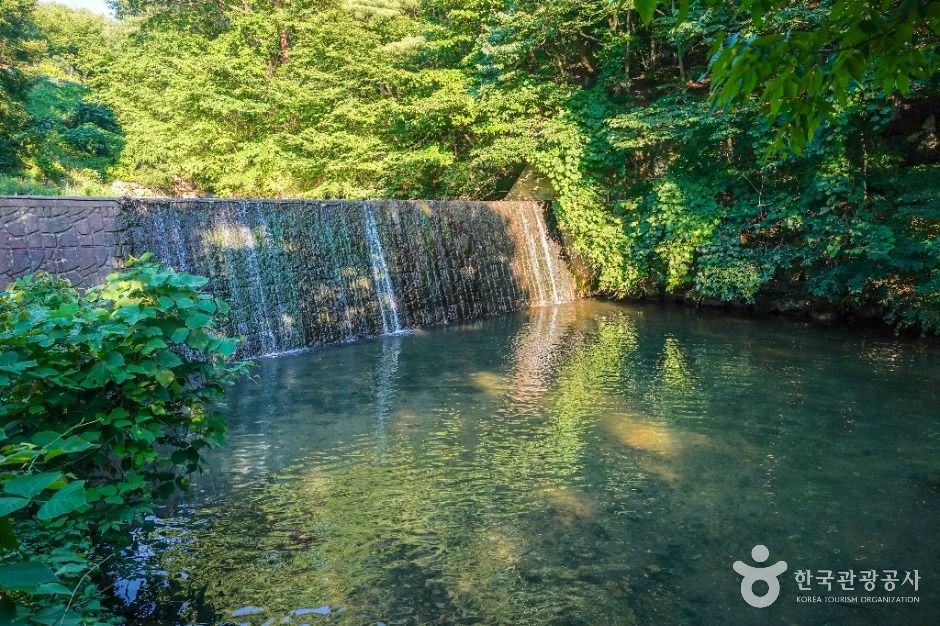 금화계곡 여행 추천 - 로드트립