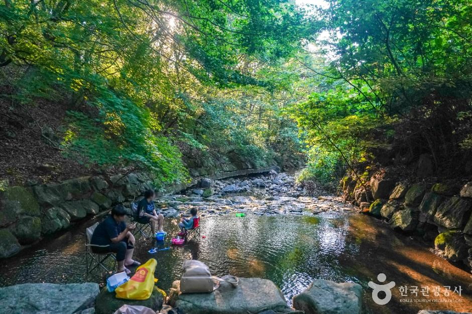 금화계곡 여행 추천 - 로드트립