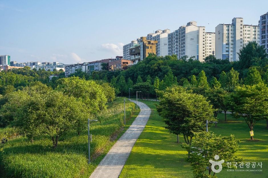 공항교강변공원 여행 추천 - 로드트립