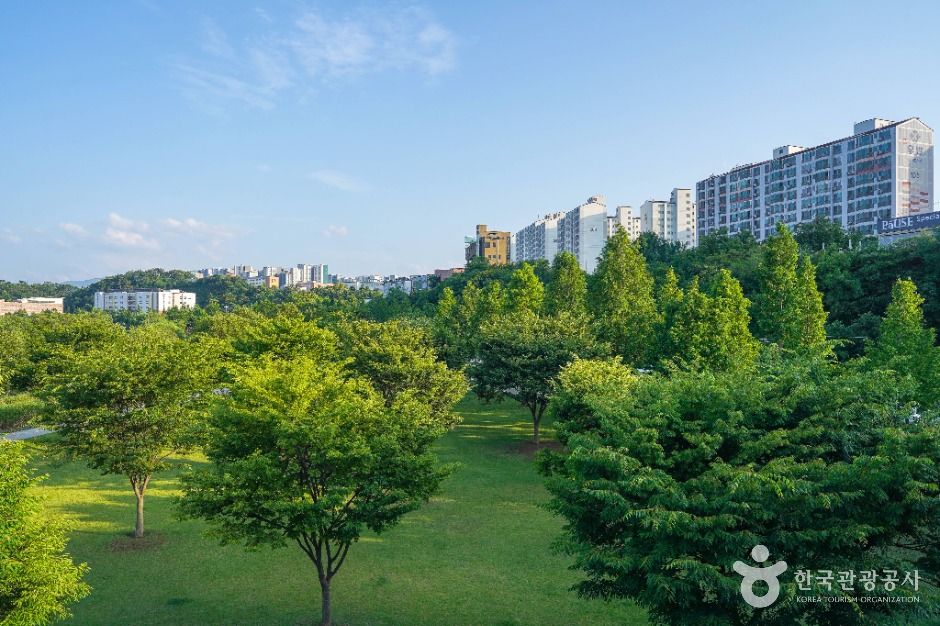 공항교강변공원 여행 추천 - 로드트립