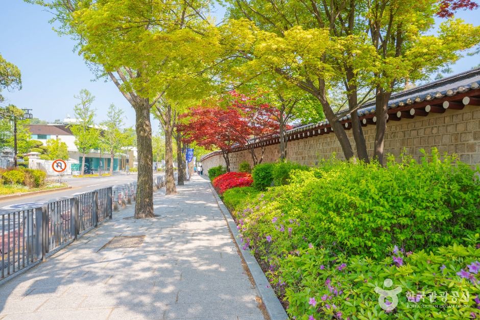 청와대 앞길 여행 추천 - 로드트립
