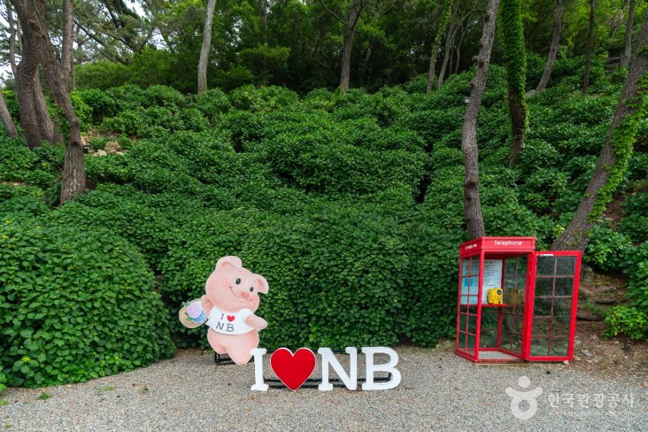 저구항 여행 추천 - 로드트립