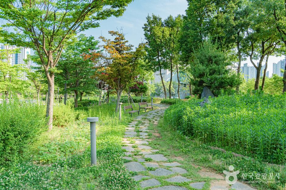 한강중앙공원 여행 추천 - 로드트립