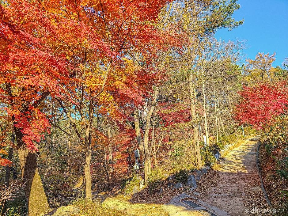 비봉산(안성) 여행 추천 - 로드트립