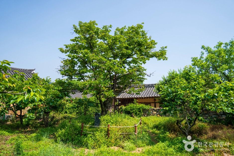 남사예담촌 여행 추천 - 로드트립