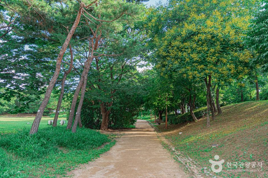 평화잔디광장 여행 추천 - 로드트립