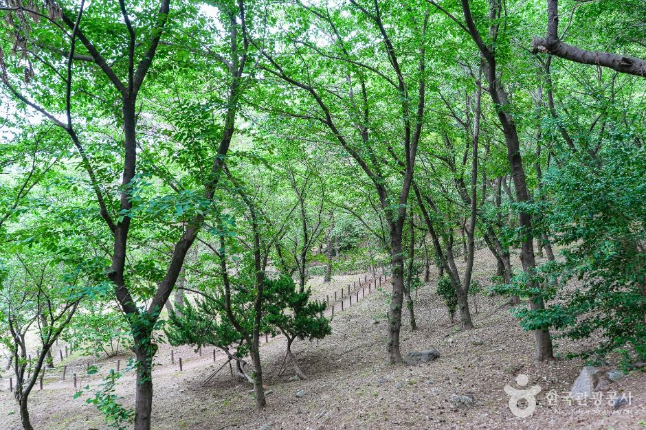 학성공원 여행 추천 - 로드트립