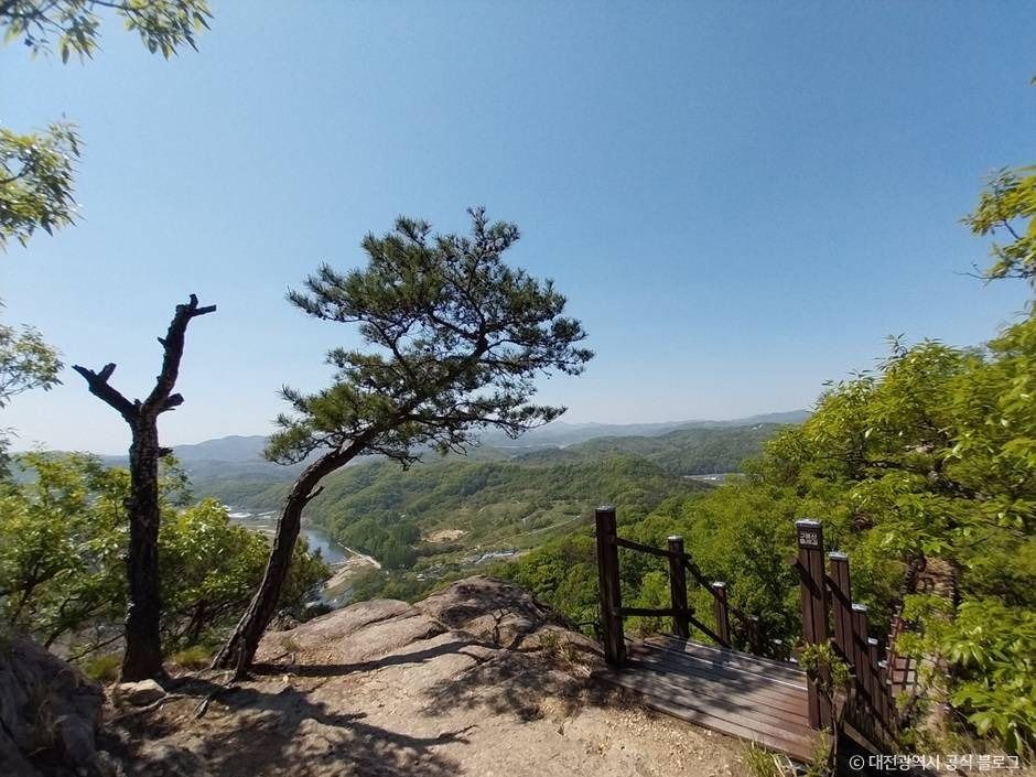 구봉산(대전) 여행 추천 - 로드트립
