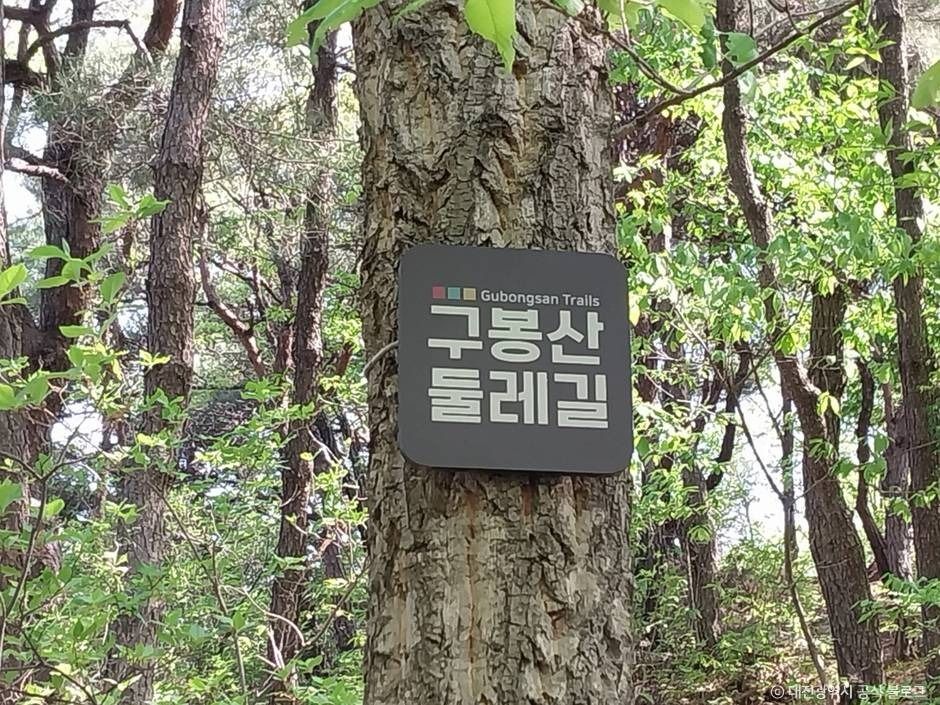 구봉산(대전) 여행 추천 - 로드트립