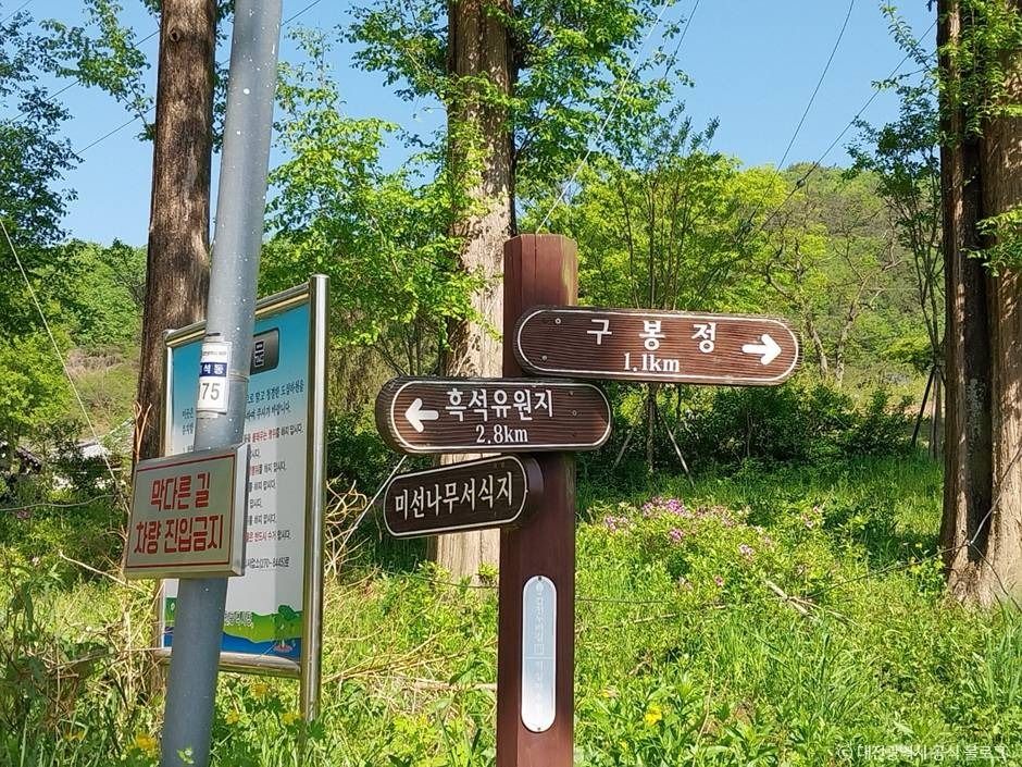 구봉산(대전) 여행 추천 - 로드트립