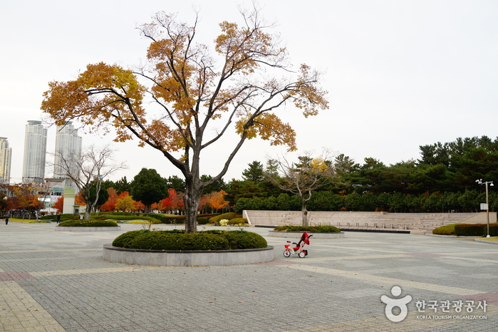 울산광역시남구문화원 여행 추천 - 로드트립
