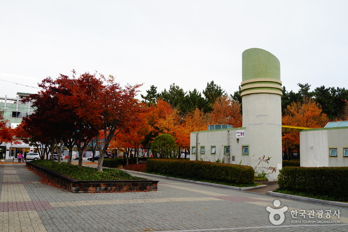 울산광역시남구문화원 여행 추천 - 로드트립