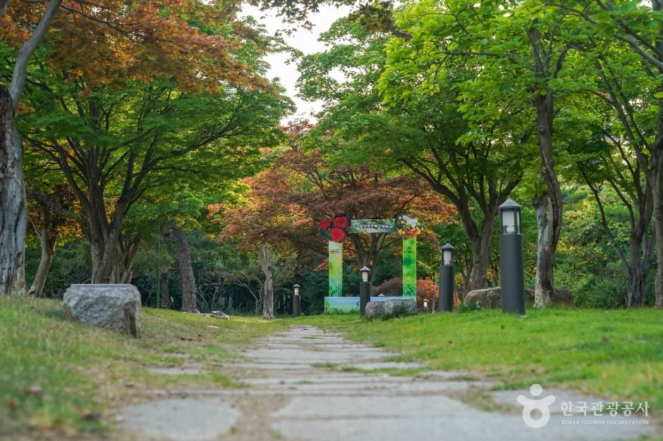국채보상운동기념공원 여행 추천 - 로드트립