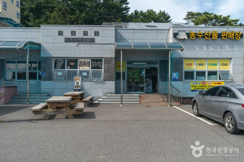 거제장사도유람선 여행 추천 - 로드트립
