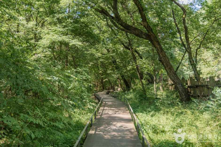 광릉숲길 여행 추천 - 로드트립