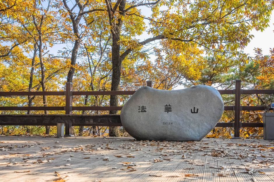 법화산 여행 추천 - 로드트립
