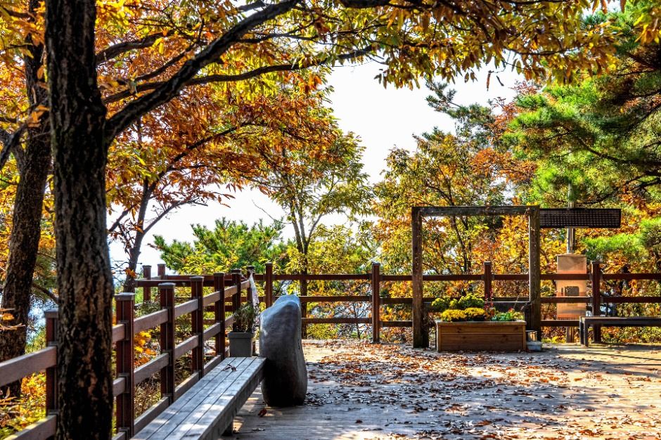 법화산 여행 추천 - 로드트립