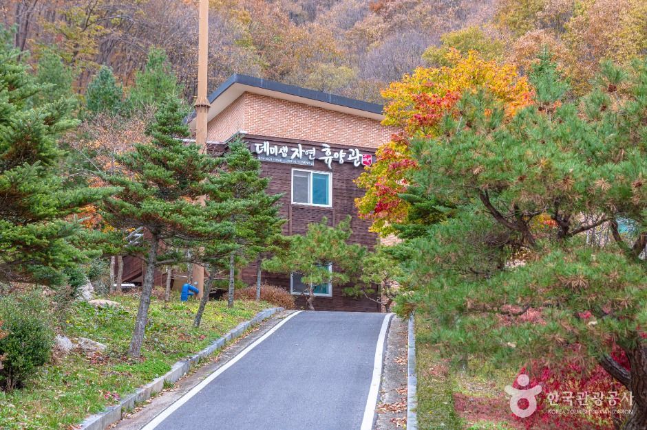 데미샘자연휴양림 여행 추천 - 로드트립