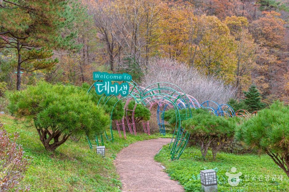데미샘자연휴양림 여행 추천 - 로드트립