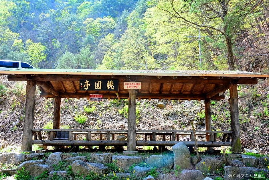 동아실계곡 여행 추천 - 로드트립