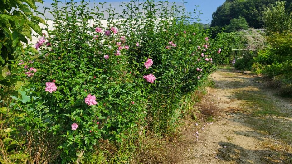 꿈팜 여행 추천 - 로드트립