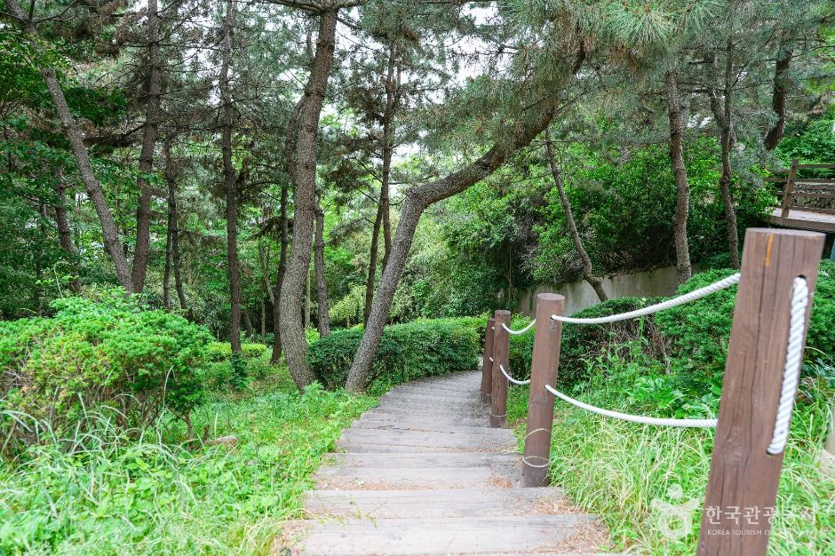장무공원 여행 추천 - 로드트립