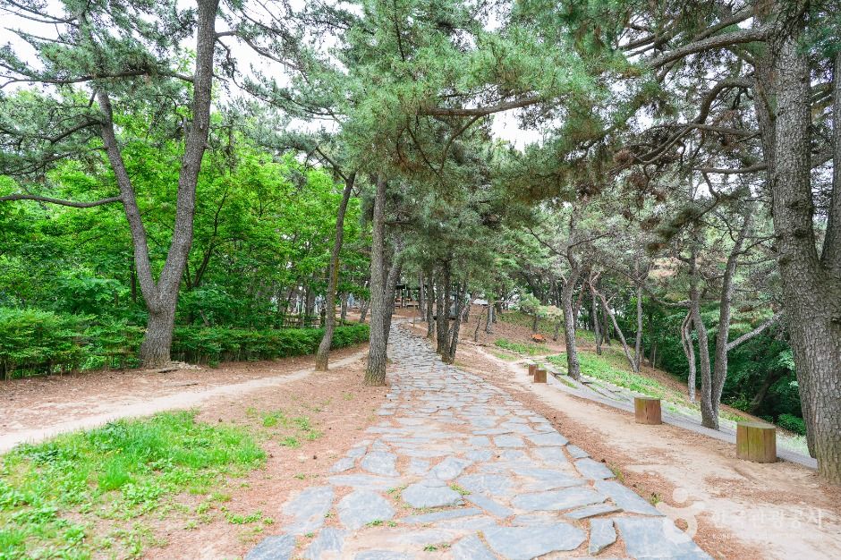 장무공원 여행 추천 - 로드트립