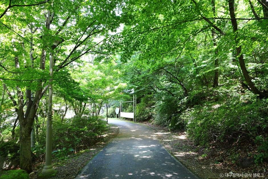 비슬산자연휴양림 여행 추천 - 로드트립