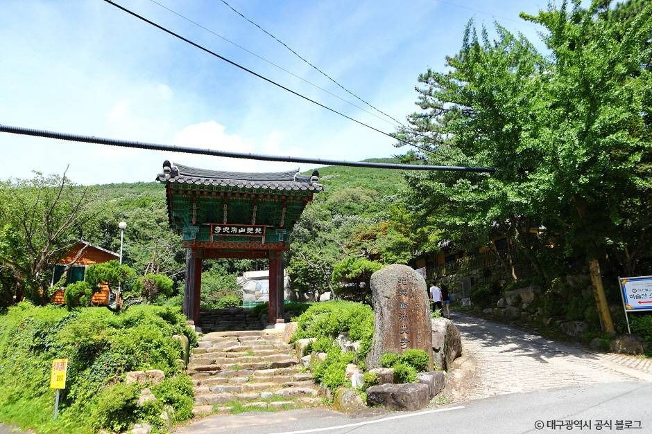 비슬산자연휴양림 여행 추천 - 로드트립