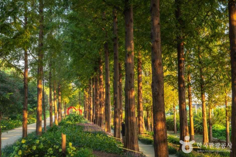 월드컵공원 여행 추천 - 로드트립