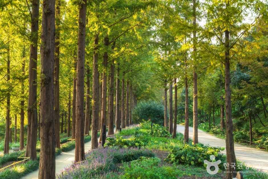 월드컵공원 여행 추천 - 로드트립