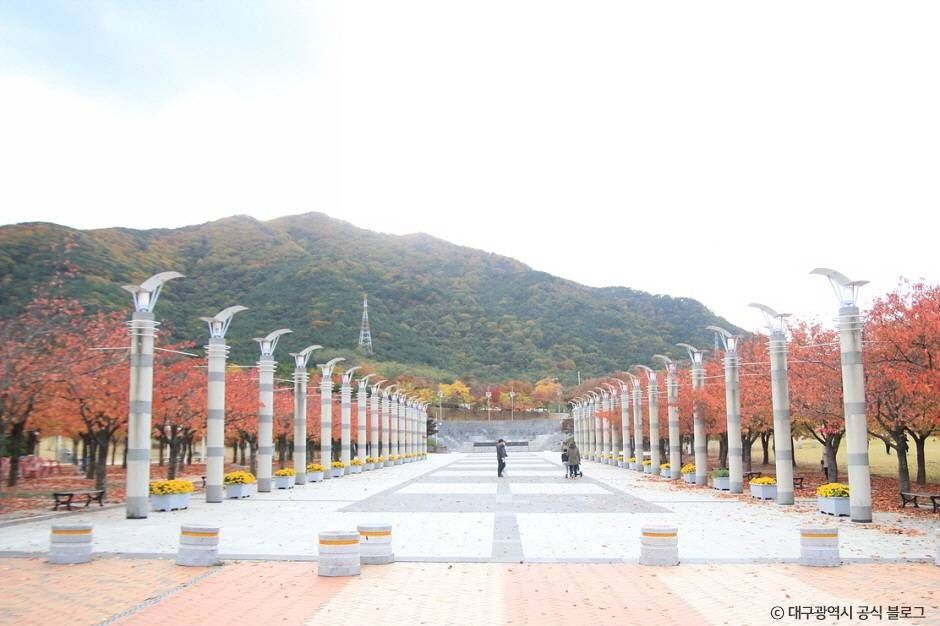 대구스타디움 여행 추천 - 로드트립
