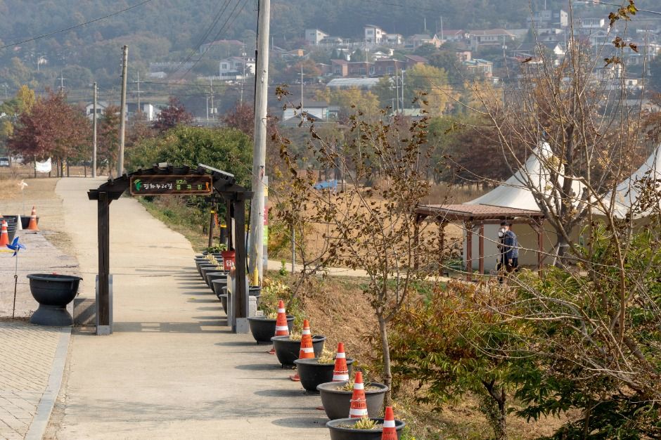 [평화누리길 9코스] 율곡길 여행 추천 - 로드트립